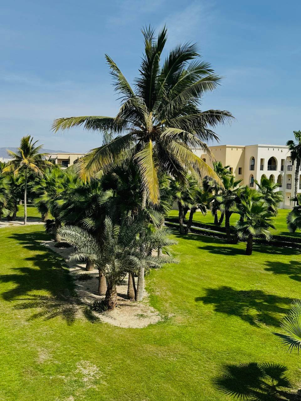 https://apelsin.tours/storage/images/5YV7NeZhRAn9gs6lWMslwPkdyw0zrwVcgb4qMIu1.jpg