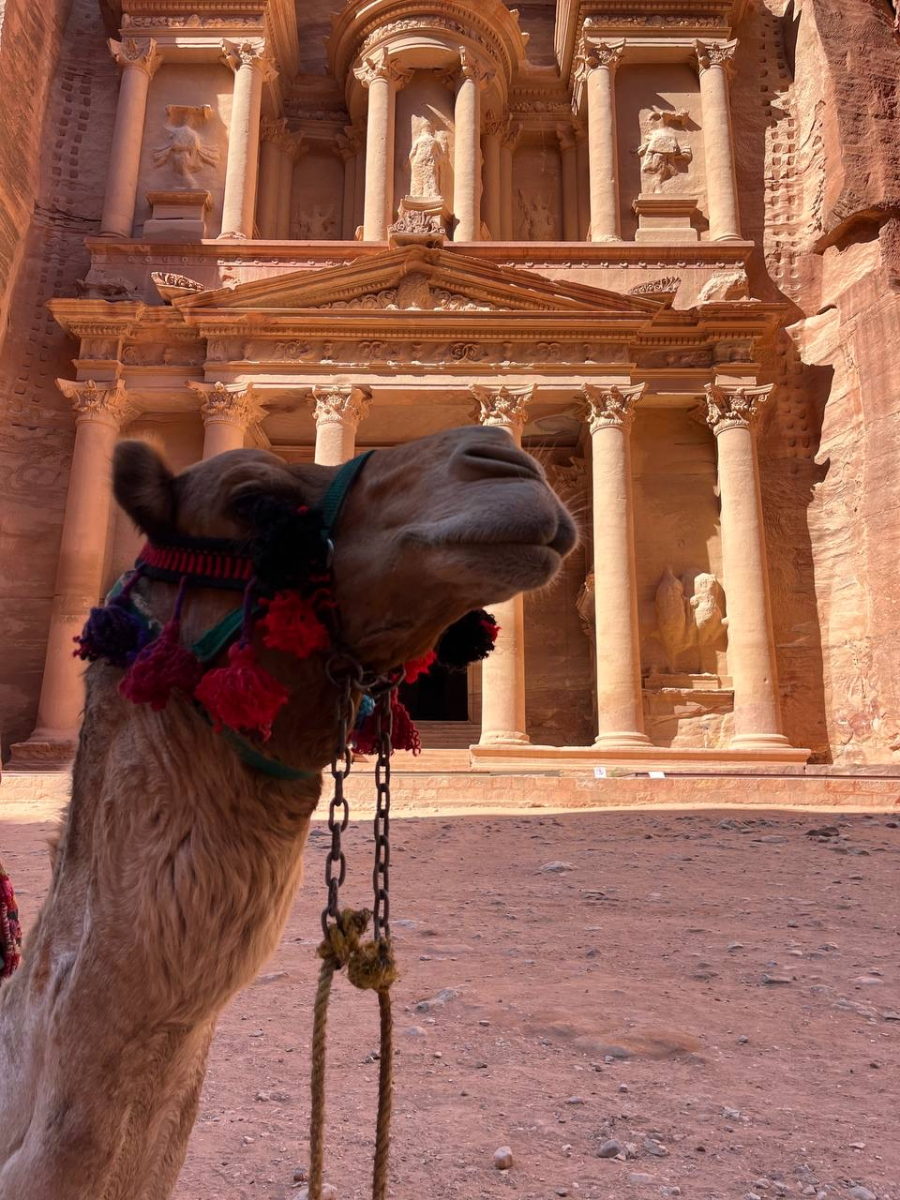 Петра — это древний город, вырезанный в скалах