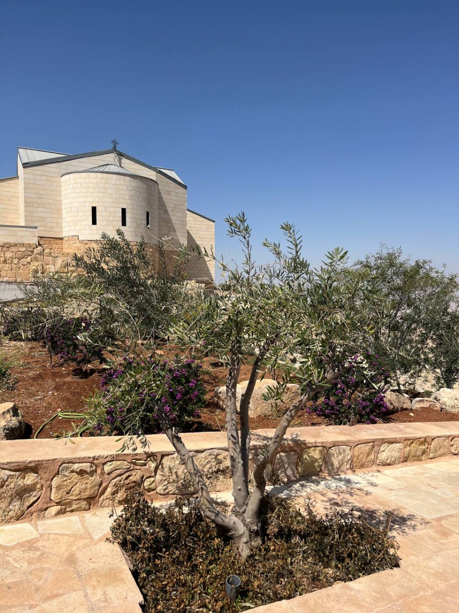 Крепость Аджлун — впечатляет своим видом и историей