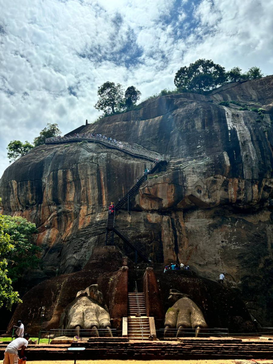 Достопримечательность с видом на Львинную гору