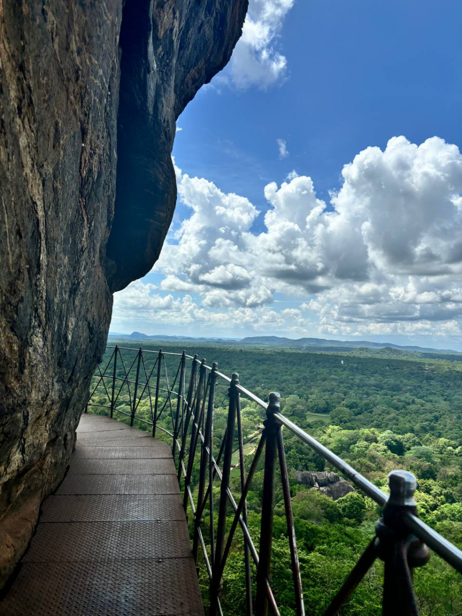 В парке с видом на Львиную гору